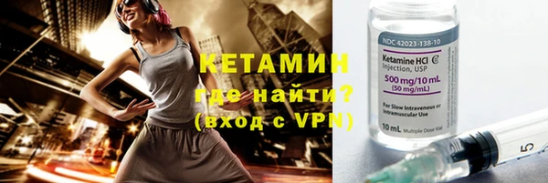сатива Лабытнанги