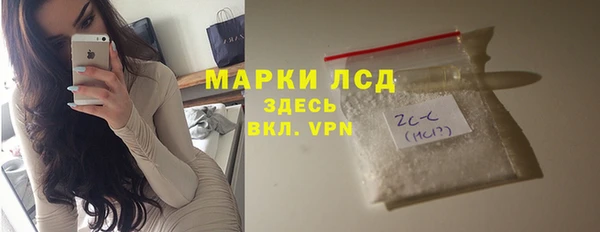 сатива Лабытнанги